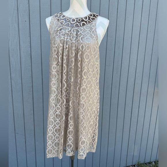 Alfani Dresses & Skirts - Alfani Taupe Lace Dress